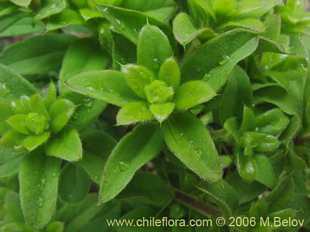 关于这个商品看更多资料和购买别的数量